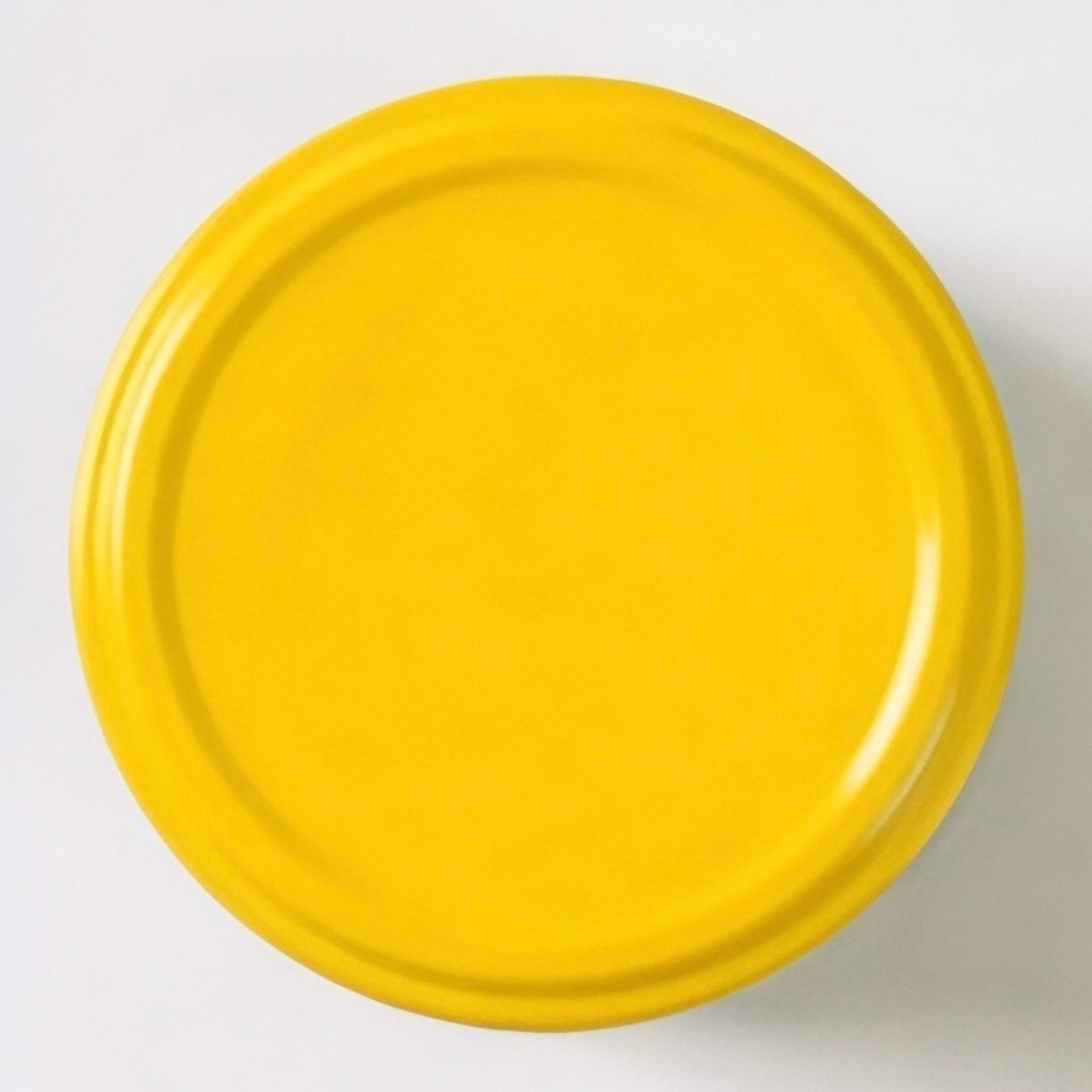 10ct Colorful Pickling Jar Metal Capping Lids